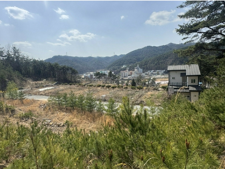 전라남도 화순군 도곡면 원화리 167-5 외 8필지 임야 경매 사진 17