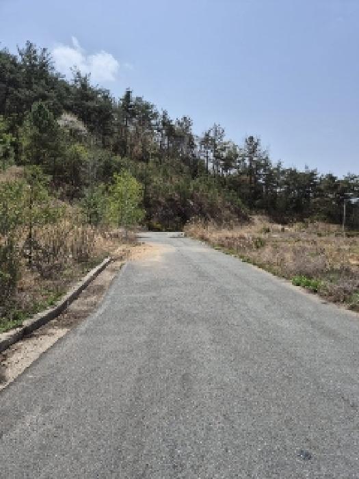 전라남도 화순군 도곡면 원화리 167-5 외 8필지 임야 경매 사진 23