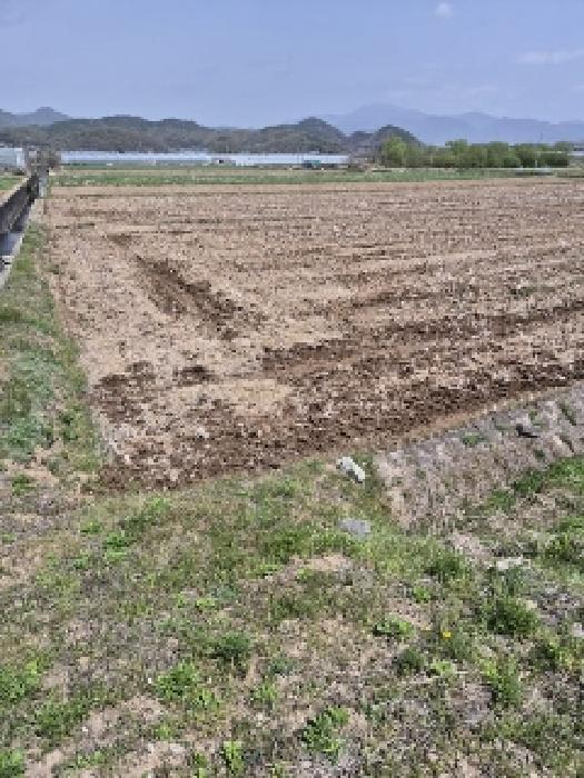 전라남도 화순군 도곡면 원화리 167-5 외 8필지 임야 경매 사진 24