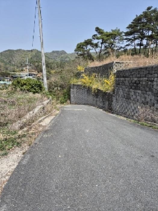 전라남도 화순군 도곡면 원화리 167-5 외 8필지 임야 경매 사진 33