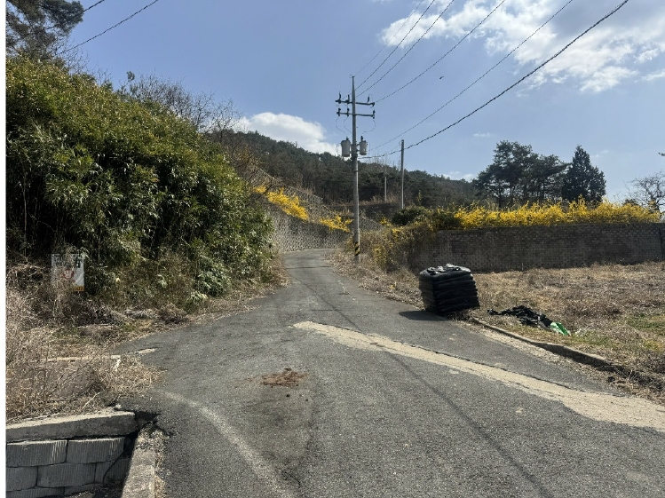 전라남도 화순군 도곡면 원화리 167-5 외 8필지 임야 경매 사진 5