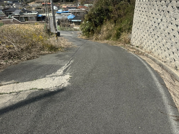 전라남도 화순군 도곡면 원화리 167-5 외 8필지 임야 경매 사진 6