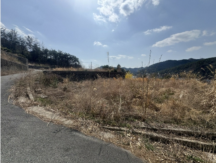 전라남도 화순군 도곡면 원화리 167-5 외 8필지 임야 경매 사진 7