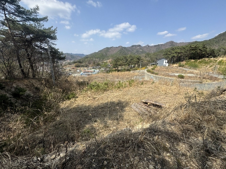 전라남도 화순군 도곡면 원화리 167-5 외 8필지 임야 경매 사진 8