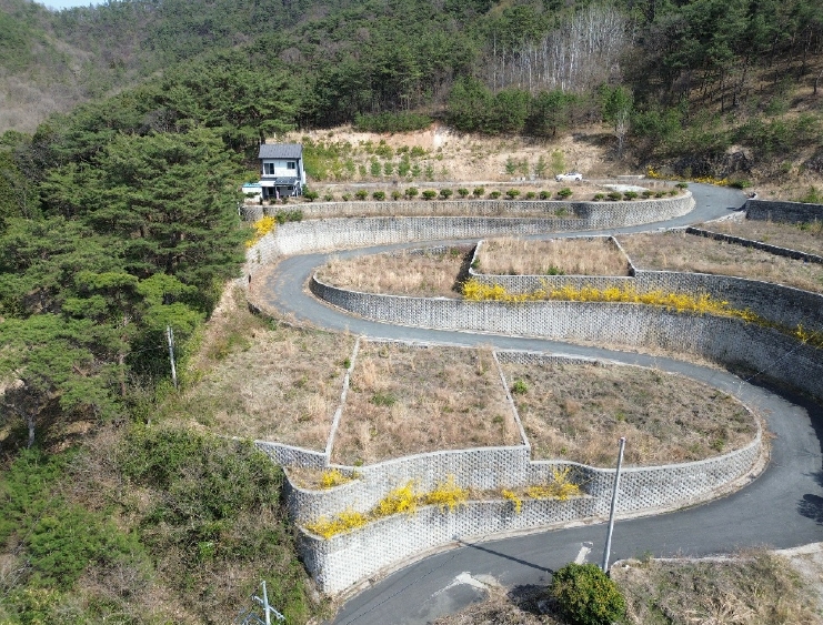전라남도 화순군 도곡면 원화리 167-5 외 8필지 임야 경매 사진 9