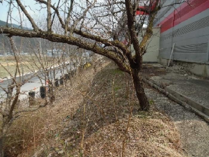 전북특별자치도 무주군 안성면 장기리 1930 외 1필지 공장 경매 사진 24