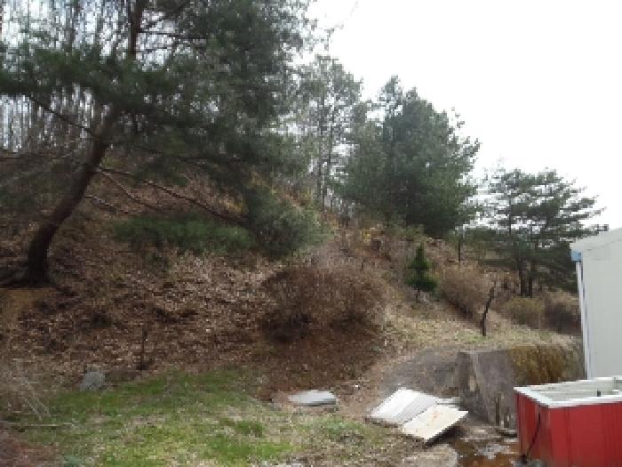 전북특별자치도 무주군 안성면 장기리 1930 외 1필지 공장 경매 사진 44