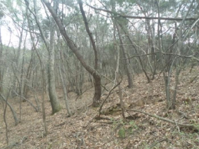 전북특별자치도 완주군 봉동읍 은하리 산110 임야 경매 사진 10