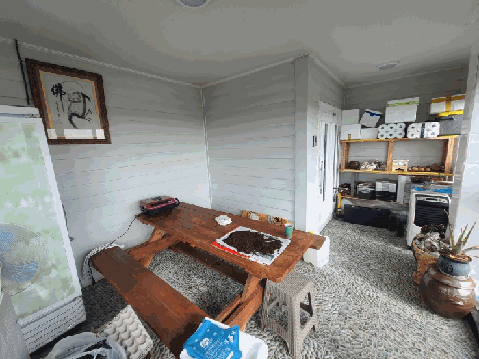 제주특별자치도 서귀포시 대정읍 일과리 1114 근린주택 경매 사진 44