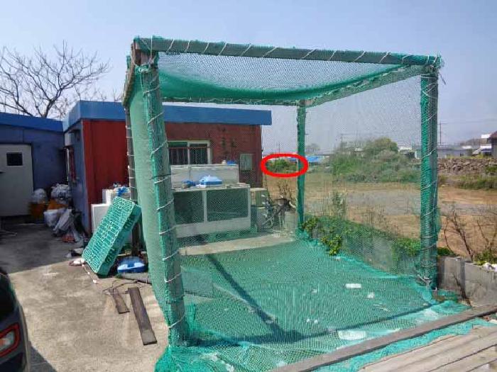 제주특별자치도 서귀포시 대정읍 일과리 1114 근린주택 경매 사진 32