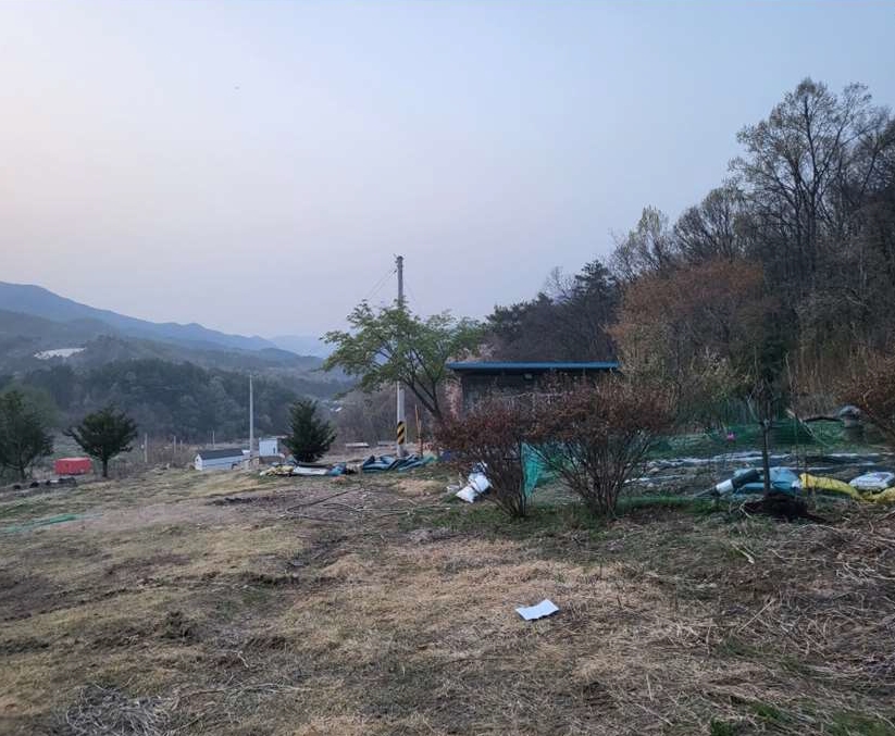 충청북도 충주시 앙성면 조천리 산39-10 임야 경매 사진 2
