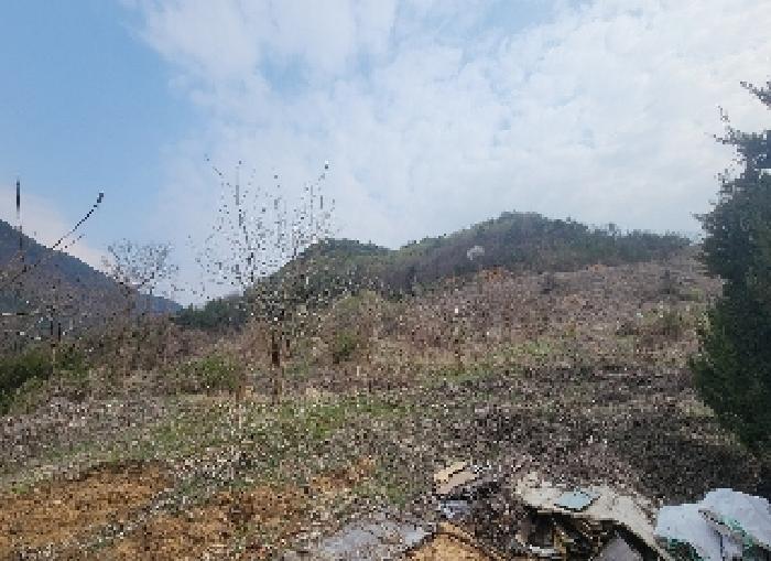 충청북도 영동군 용산면 한석리 540-2 외 2필지 과수원 경매 사진 2