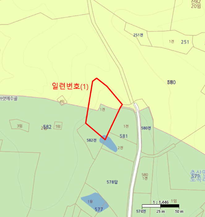 경상북도 영덕군 축산면 도곡리 582-1 전 경매 사진 10