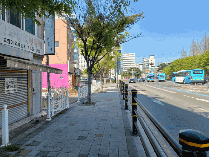부산광역시 부산진구 양정동 519-25 대지 경매 사진 11