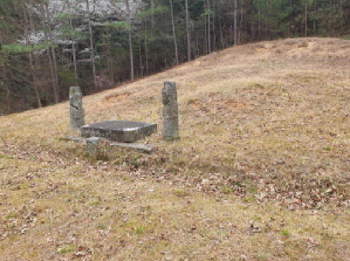 전라남도 강진군 도암면 학장리 산184 임야 경매 사진 20