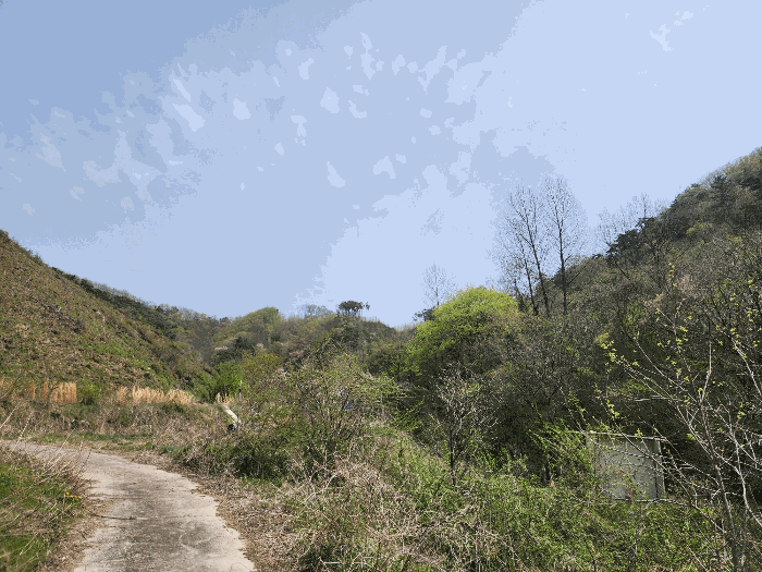 전북특별자치도 정읍시 산외면 종산리 369 전 경매 사진 2