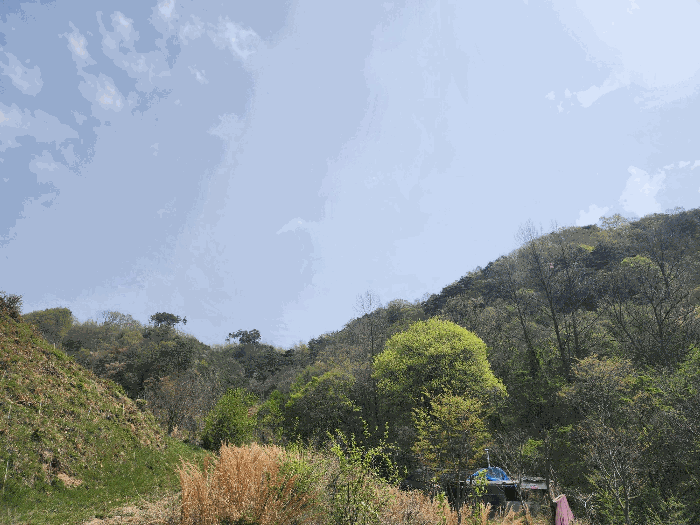 전북특별자치도 정읍시 산외면 종산리 369 전 경매 사진 3