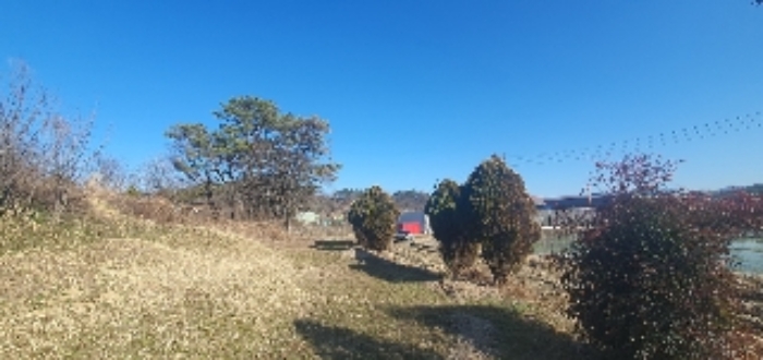 경상남도 함안군 칠서면 계내리 427-10 전 경매 사진 19
