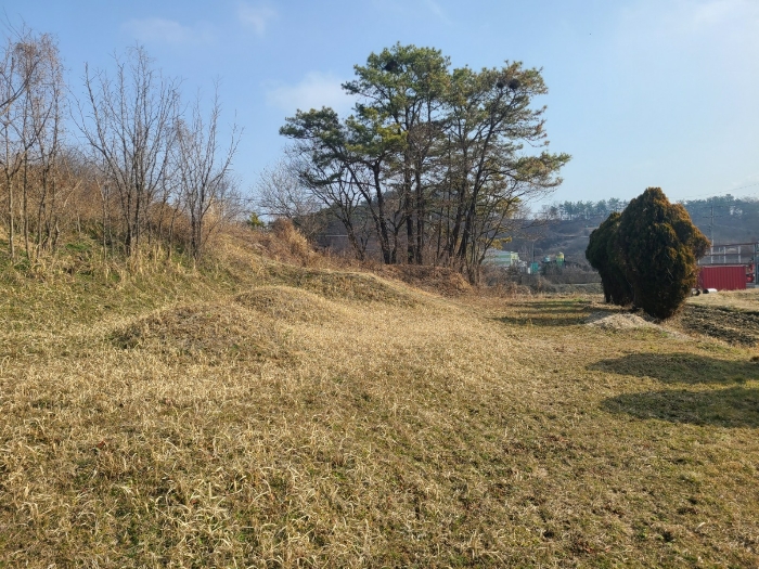 경상남도 함안군 칠서면 계내리 427-10 전 경매 사진 23