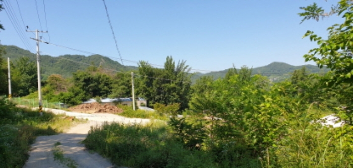 경상남도 합천군 묘산면 관기리 산85-3 외 7필지 임야 경매 사진 1