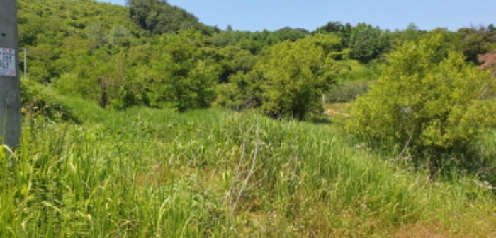 경상남도 합천군 묘산면 관기리 산85-3 외 7필지 임야 경매 사진 18