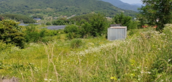경상남도 합천군 묘산면 관기리 산85-3 외 7필지 임야 경매 사진 20
