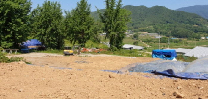 경상남도 합천군 묘산면 관기리 산85-3 외 7필지 임야 경매 사진 3