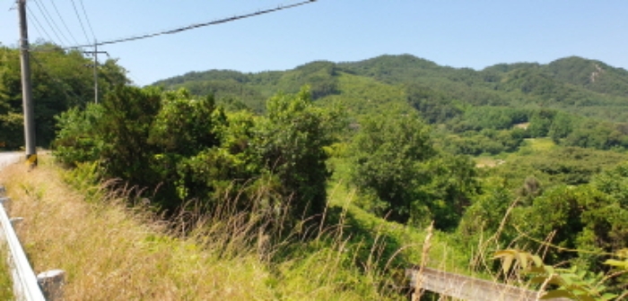경상남도 합천군 묘산면 관기리 산85-3 외 7필지 임야 경매 사진 23