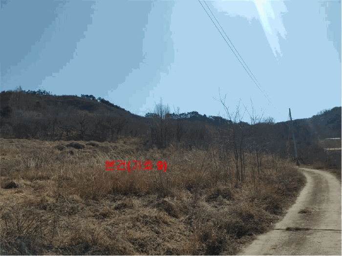 경상남도 합천군 묘산면 관기리 산85-3 외 7필지 임야 경매 사진 30