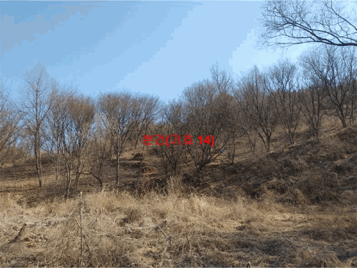 경상남도 합천군 묘산면 관기리 산85-3 외 7필지 임야 경매 사진 31