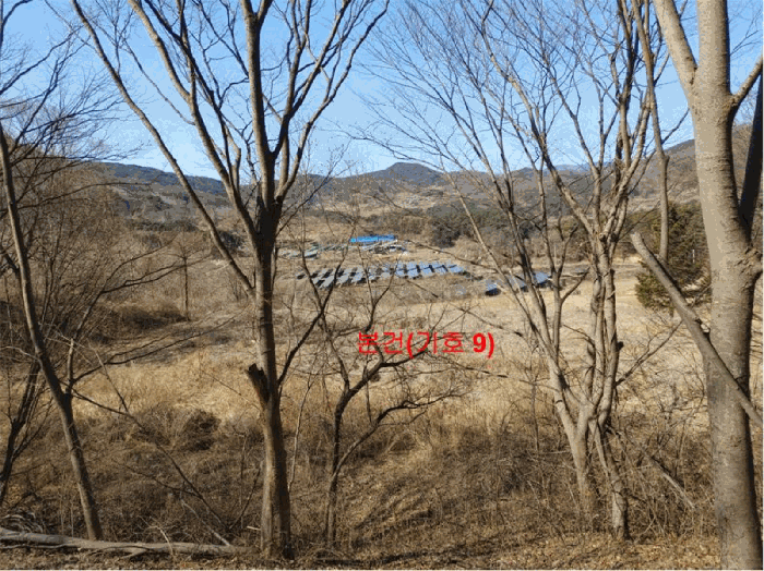 경상남도 합천군 묘산면 관기리 산85-3 외 7필지 임야 경매 사진 33