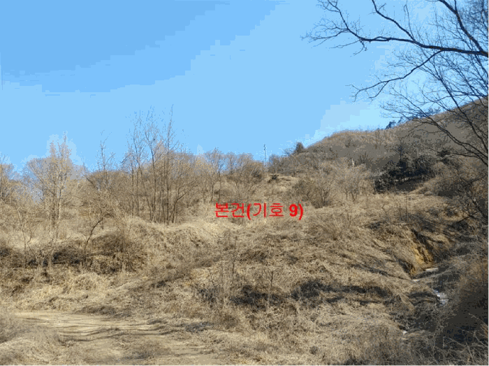 경상남도 합천군 묘산면 관기리 산85-3 외 7필지 임야 경매 사진 34