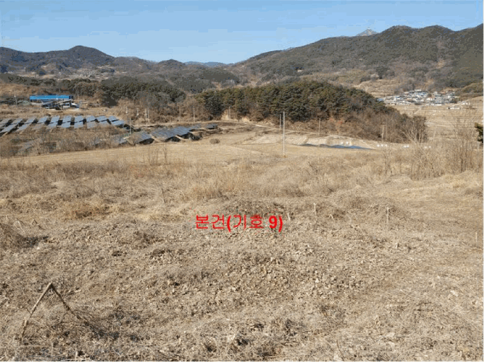 경상남도 합천군 묘산면 관기리 산85-3 외 7필지 임야 경매 사진 36