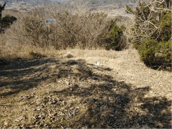 경상남도 합천군 묘산면 관기리 산85-3 외 7필지 임야 경매 사진 38