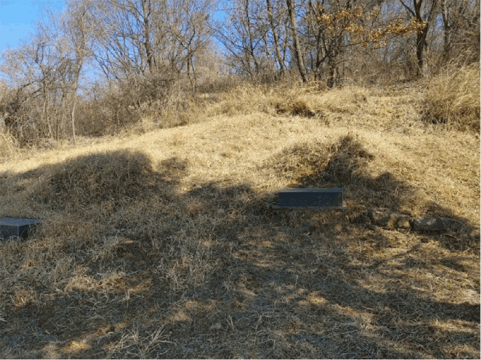 경상남도 합천군 묘산면 관기리 산85-3 외 7필지 임야 경매 사진 42