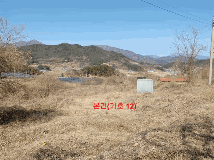 경상남도 합천군 묘산면 관기리 산85-3 외 7필지 임야 경매 사진 44