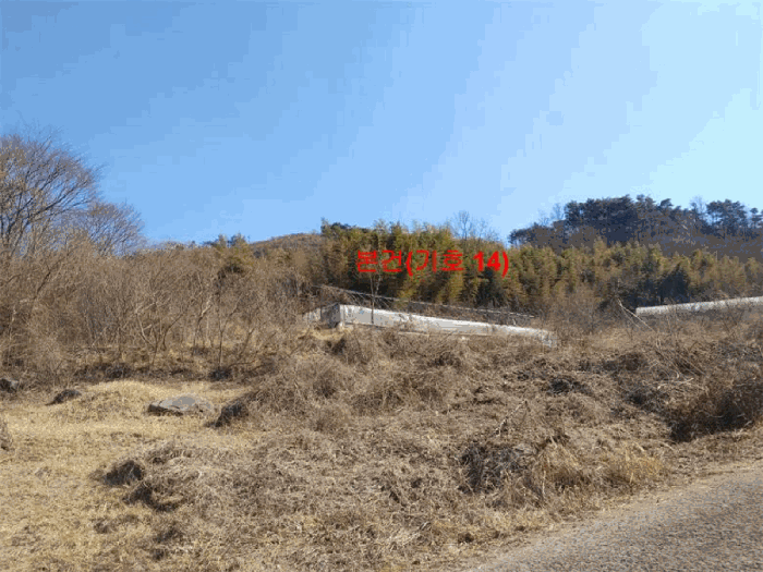 경상남도 합천군 묘산면 관기리 산85-3 외 7필지 임야 경매 사진 45