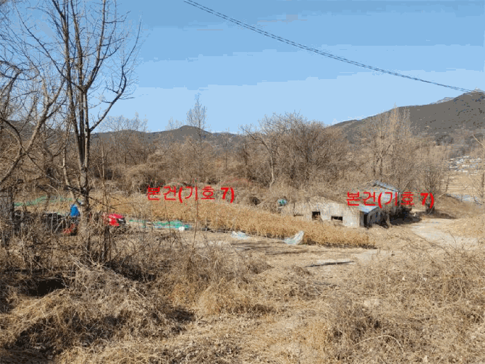 경상남도 합천군 묘산면 관기리 산85-3 외 7필지 임야 경매 사진 46