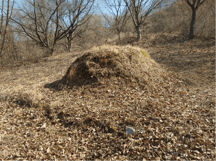 경상남도 합천군 묘산면 관기리 산85-3 외 7필지 임야 경매 사진 47