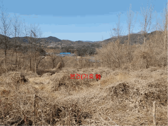 경상남도 합천군 묘산면 관기리 산85-3 외 7필지 임야 경매 사진 48