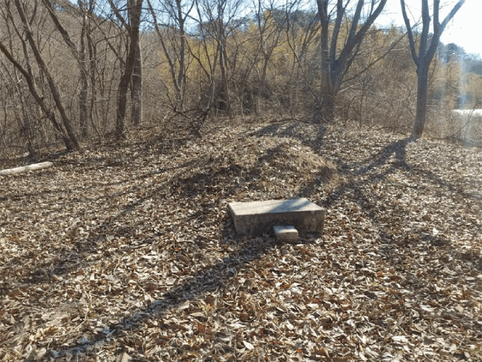 경상남도 합천군 묘산면 관기리 산85-3 외 7필지 임야 경매 사진 50