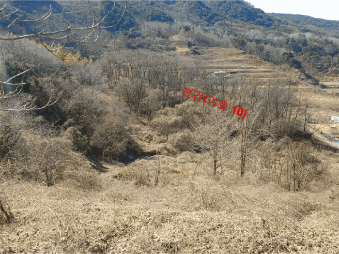 경상남도 합천군 묘산면 관기리 산85-3 외 7필지 임야 경매 사진 51