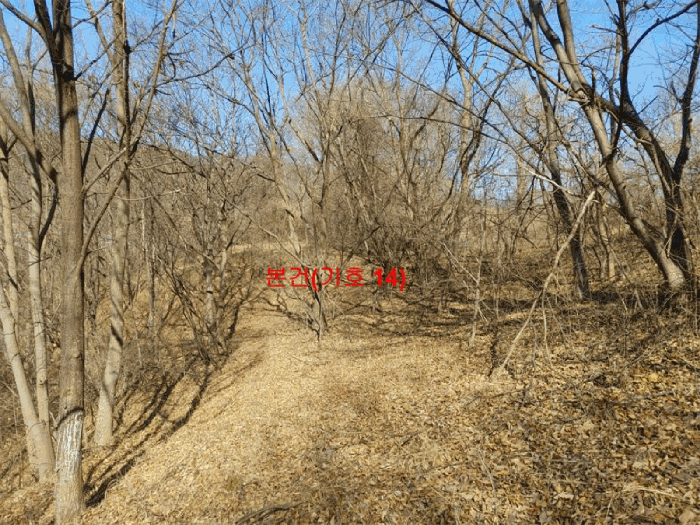 경상남도 합천군 묘산면 관기리 산85-3 외 7필지 임야 경매 사진 53