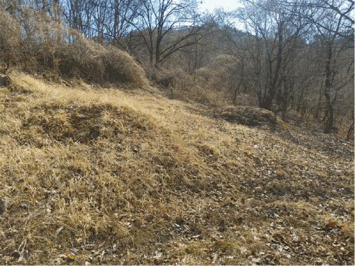 경상남도 합천군 묘산면 관기리 산85-3 외 7필지 임야 경매 사진 54