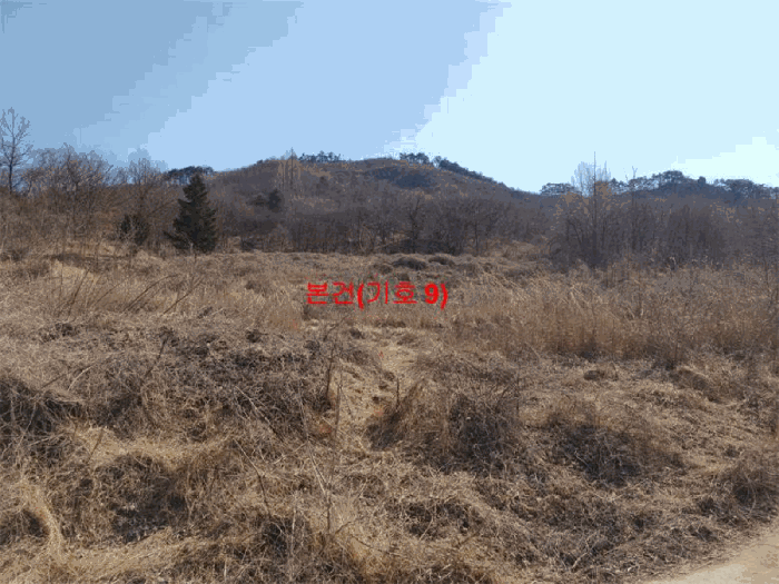 경상남도 합천군 묘산면 관기리 산85-3 외 7필지 임야 경매 사진 55