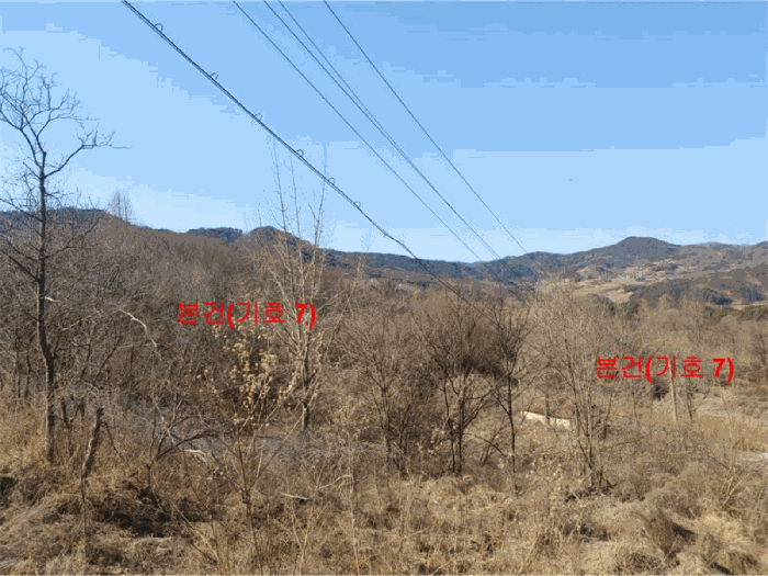 경상남도 합천군 묘산면 관기리 산85-3 외 7필지 임야 경매 사진 56