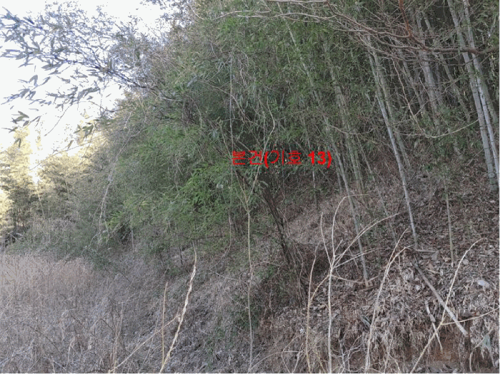 경상남도 합천군 묘산면 관기리 산85-3 외 7필지 임야 경매 사진 57