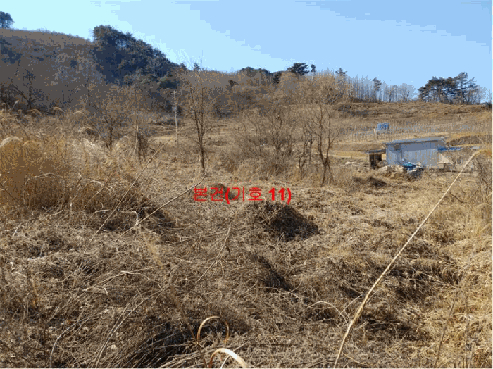 경상남도 합천군 묘산면 관기리 산85-3 외 7필지 임야 경매 사진 58