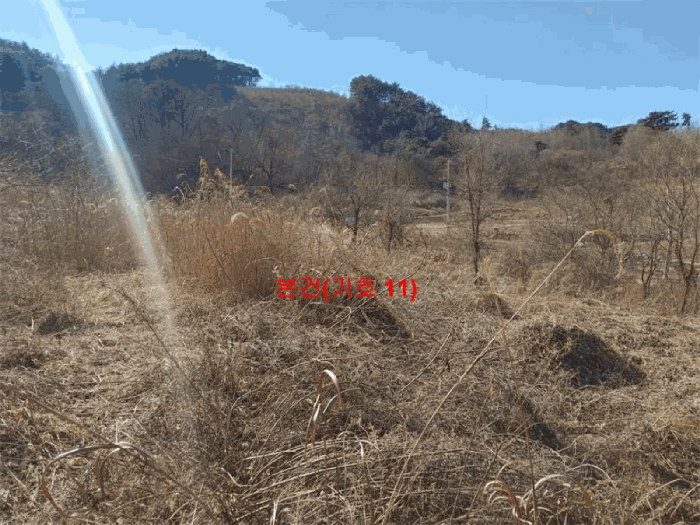 경상남도 합천군 묘산면 관기리 산85-3 외 7필지 임야 경매 사진 61