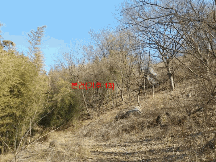경상남도 합천군 묘산면 관기리 산85-3 외 7필지 임야 경매 사진 62